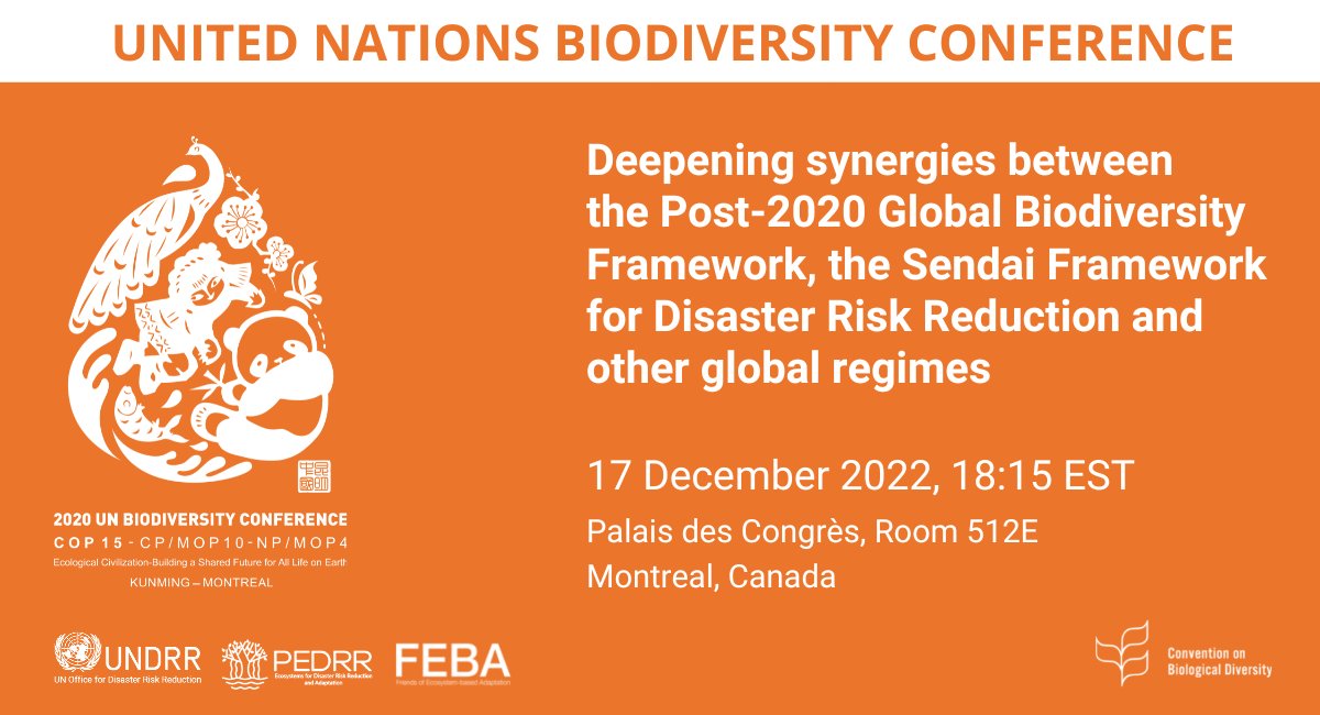 UNBiodiversity's tweet photo. What can the Post-2020 Global Biodiversity Framework contribute to global agendas on climate change, risk, and sustainable development?

📆 On December 17 join @pedrrnetwork, @friendsofeba, and @undrr
at #COP15 to learn more!

📍Room 512E, Palais des Congres

#ForPeopleForPlanet https://t.co/FR7ANjhBGh