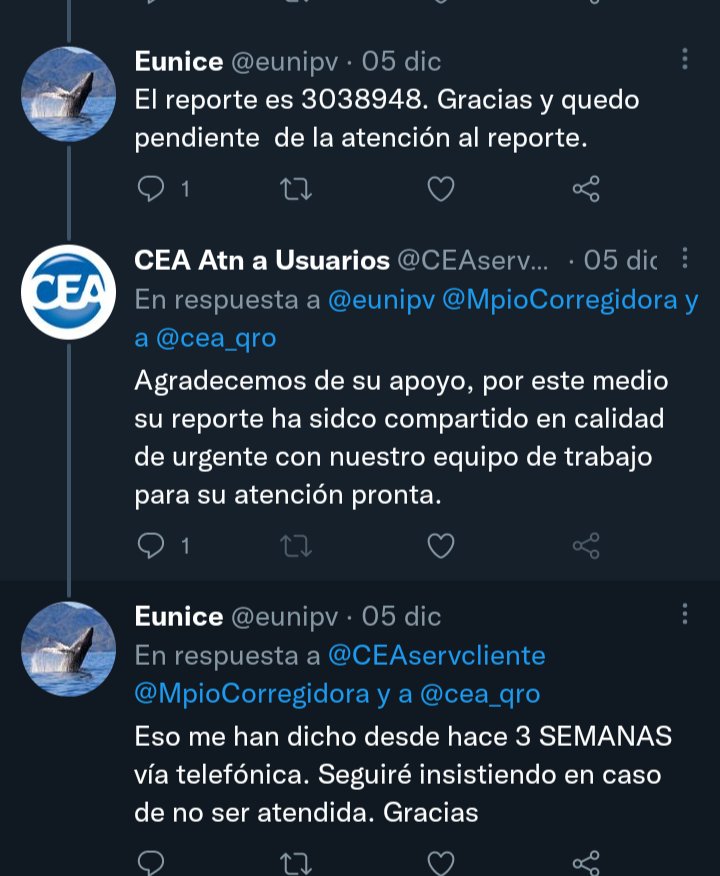 Eunice (@eunipv) / Posts / X