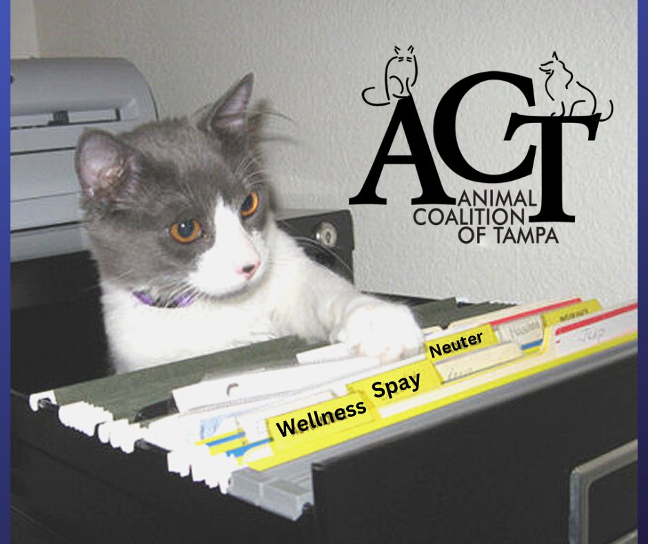 AnimalCoalitionTampa tweet media