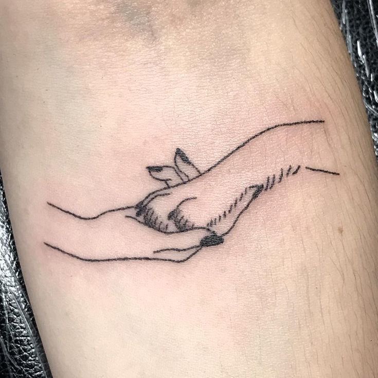 SHUNOMAYORS's tweet photo. Just got some silly little tattoos! 😊😊 Second one is me and Sir Pleakley. 🐶❤️👩🏻 - G.L. https://t.co/aiJb6g4Ivf