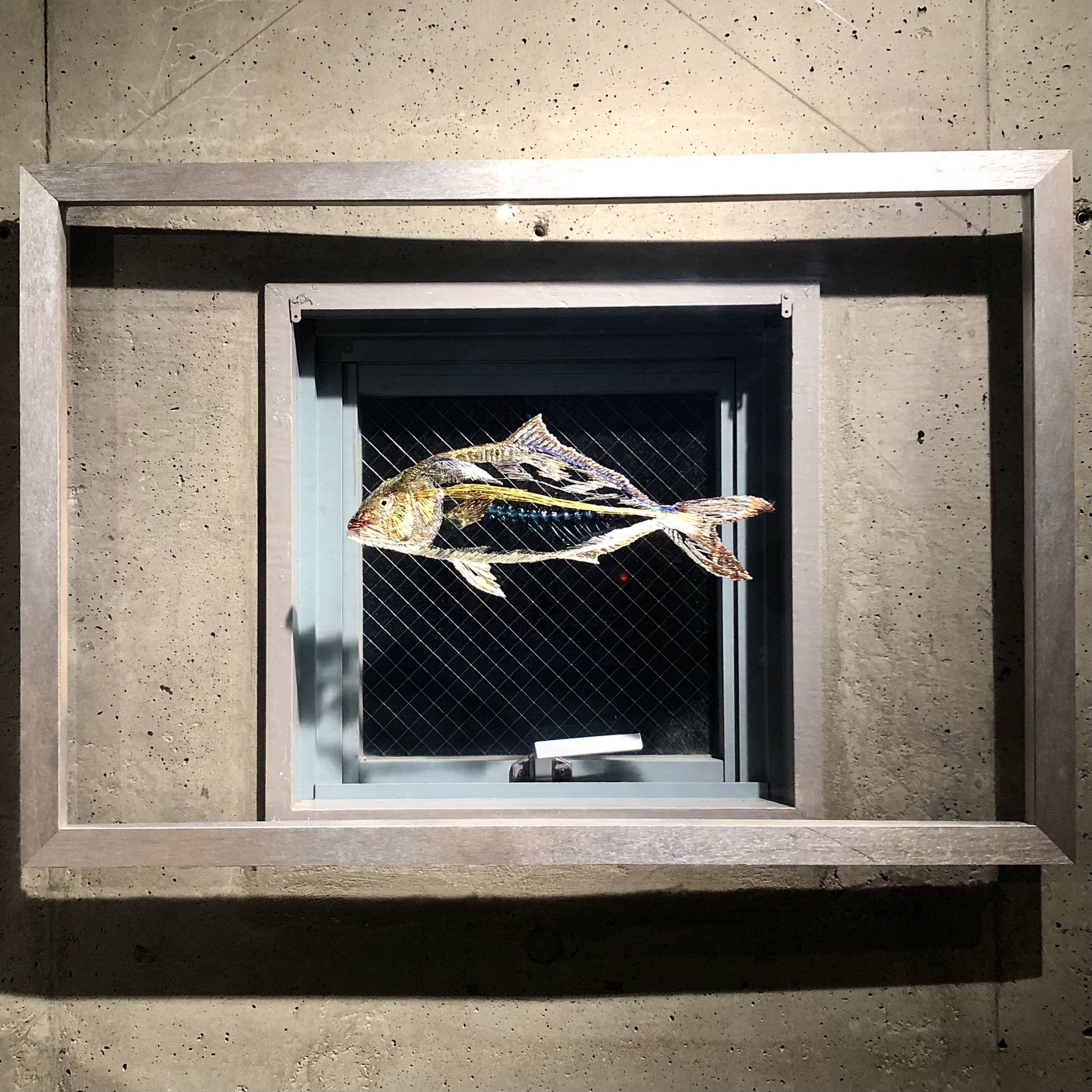Mizuki kouyama(fishboneart) (@NaturalObjects) / X