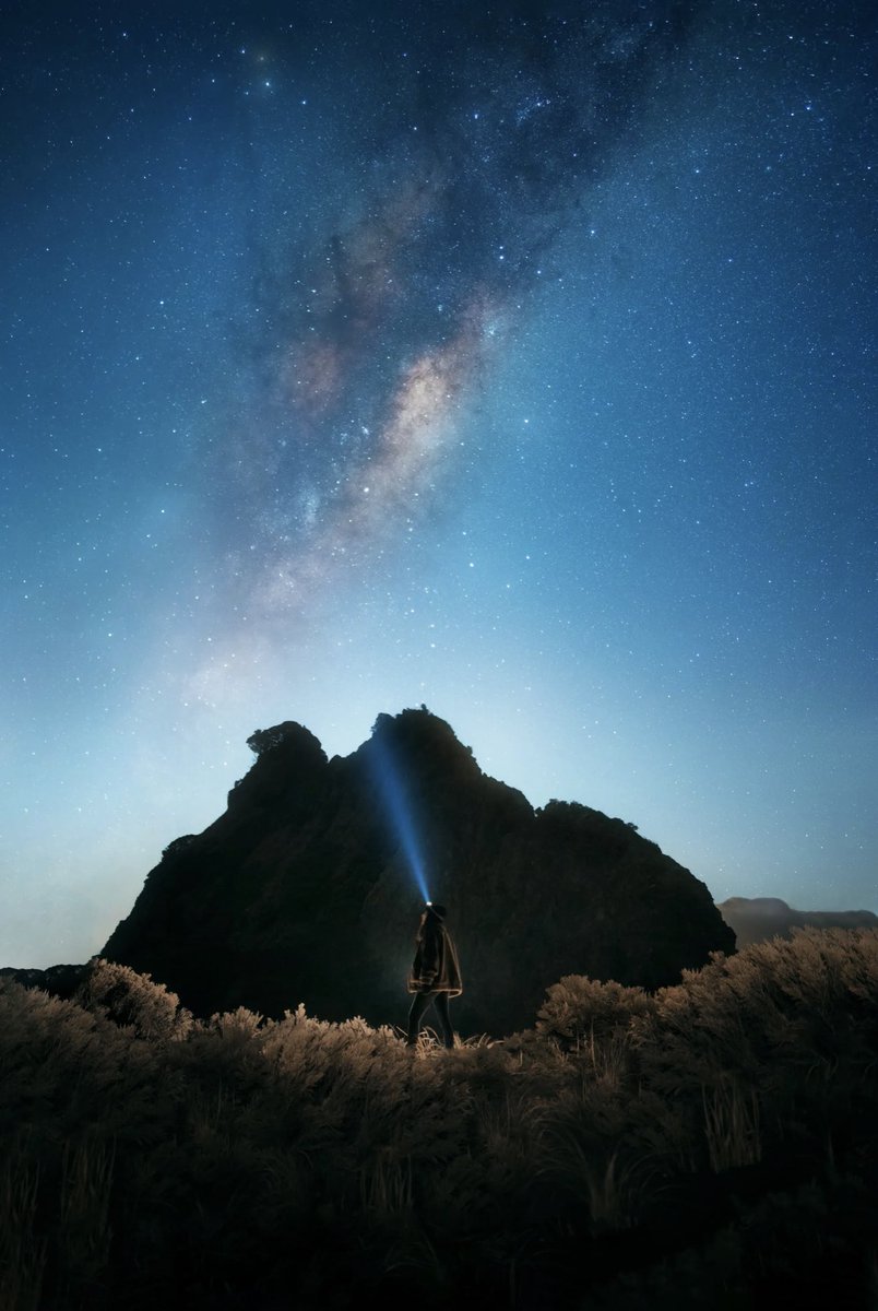 Jenna Dixon tweet media