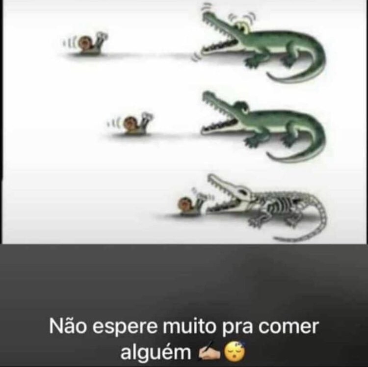 shitpostverdade's tweet image. 