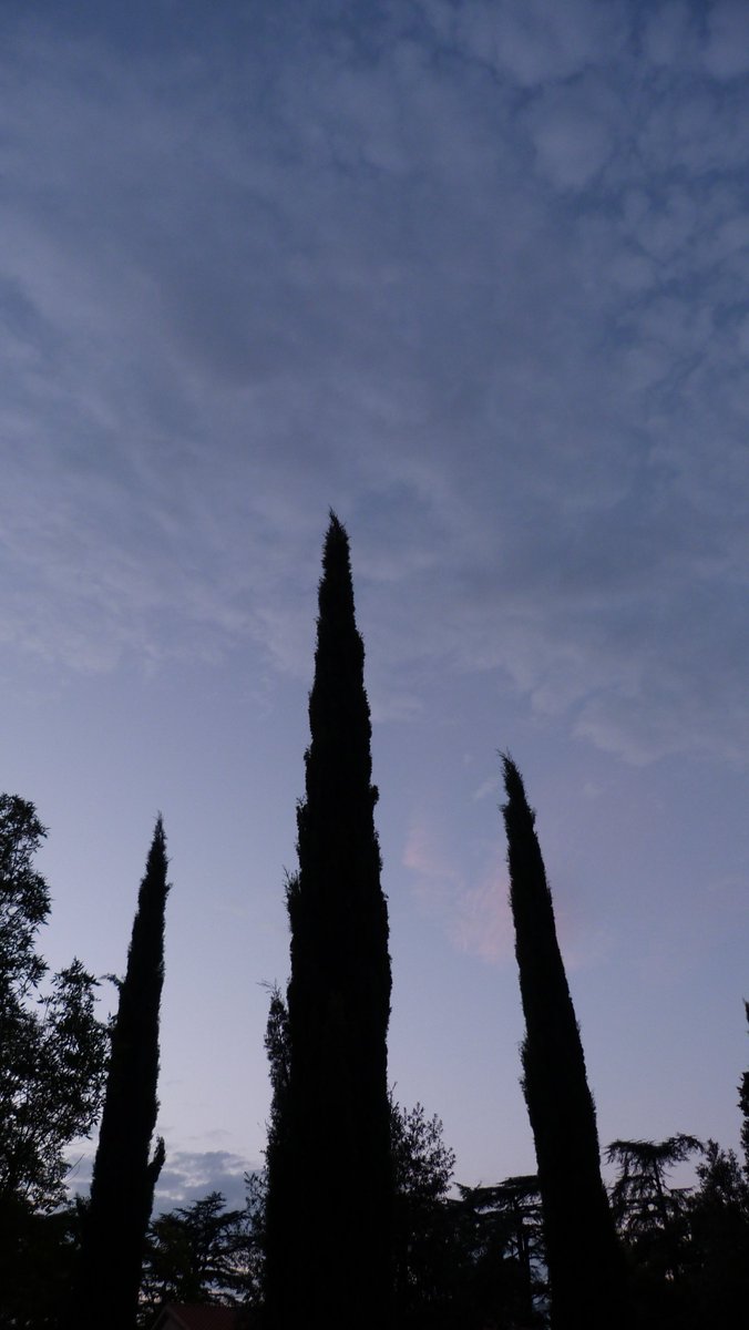 LilGirlBlueugz's tweet photo. Une nuit en août
L'écoute des chiroptères
Sous la lune rousse
🖤🦇🧡🌕💙
#Haiku du soir. Bonne nuit !
#Photography #Photo #Moon #Lune #Sunset #LuneRousse https://t.co/2CeFgxgewc