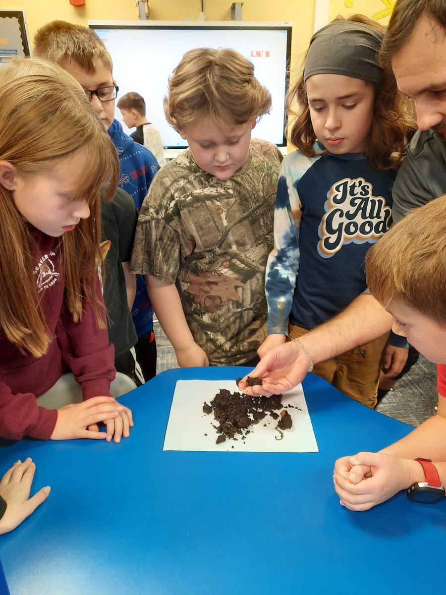 Mrs. Hey's 5th Grade tweet media