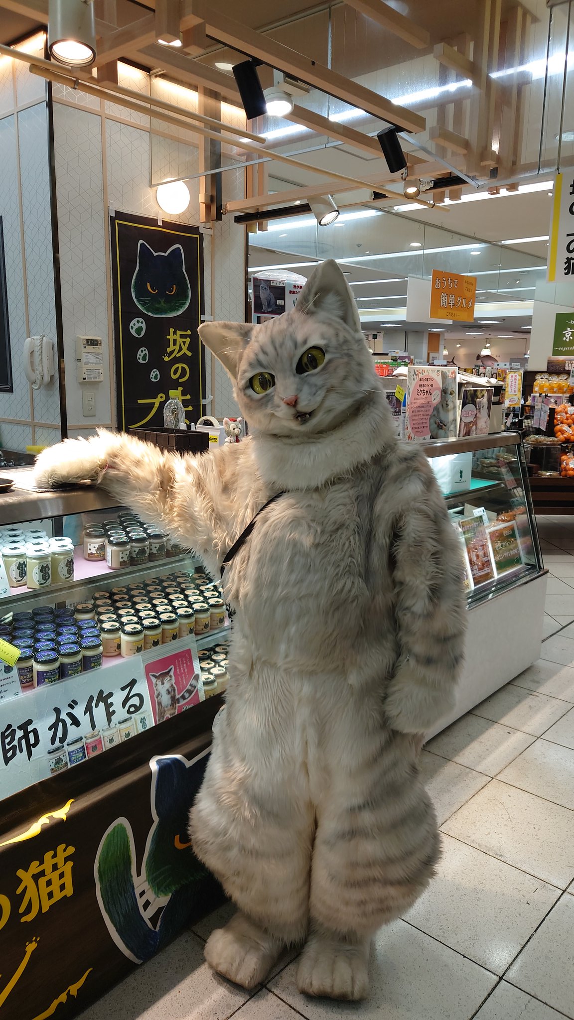 猫ちゃん専用 Amazon.co.jp: キャティーマン (CattyMan) ねこちゃんの国産低