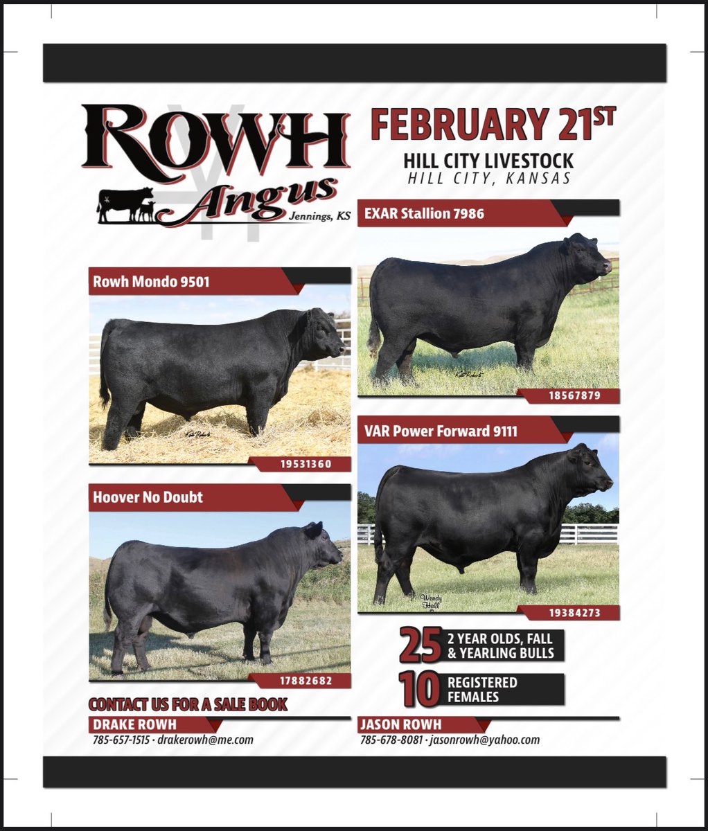 drowh3's tweet image. Hope to see everyone at the sale. Let me know if you would like a catalog.