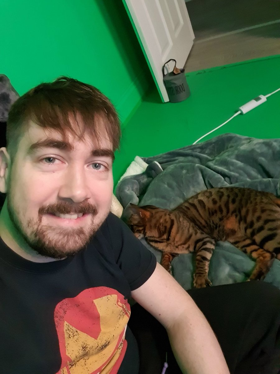 Zizaran on Twitter "Breakfast next to Loki on a heated blanket 🥰 hes