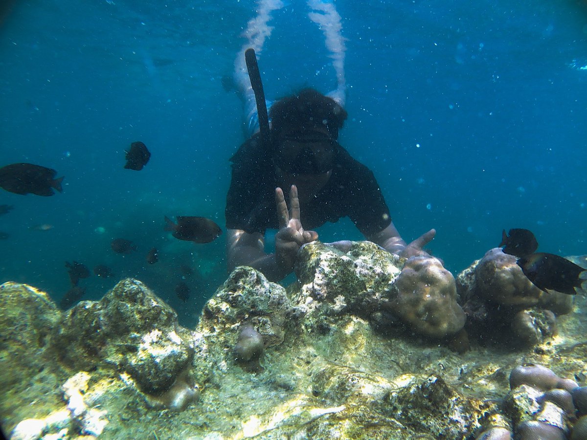 Vitamin sea🌊🐟#vitaminsea