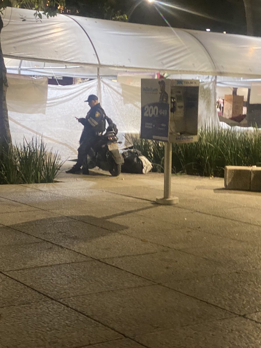 Karen Rowe tweet media