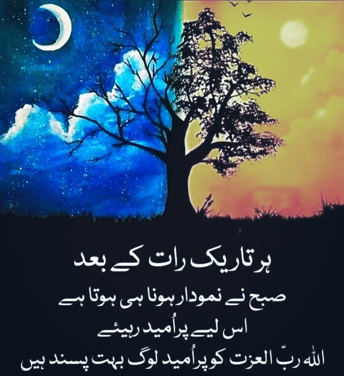 <a href="/Shaina__Chudry/">Shaina____Chudry</a>
