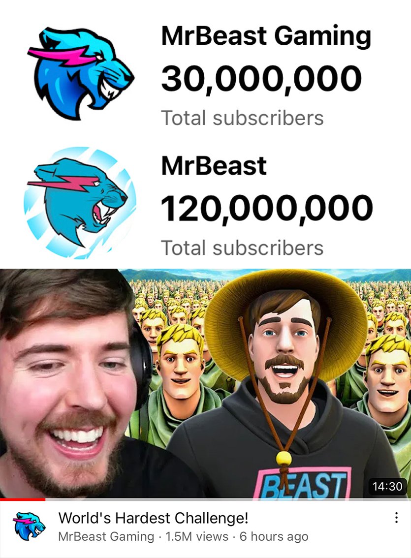 MrBeast Releases Technoblade's Video