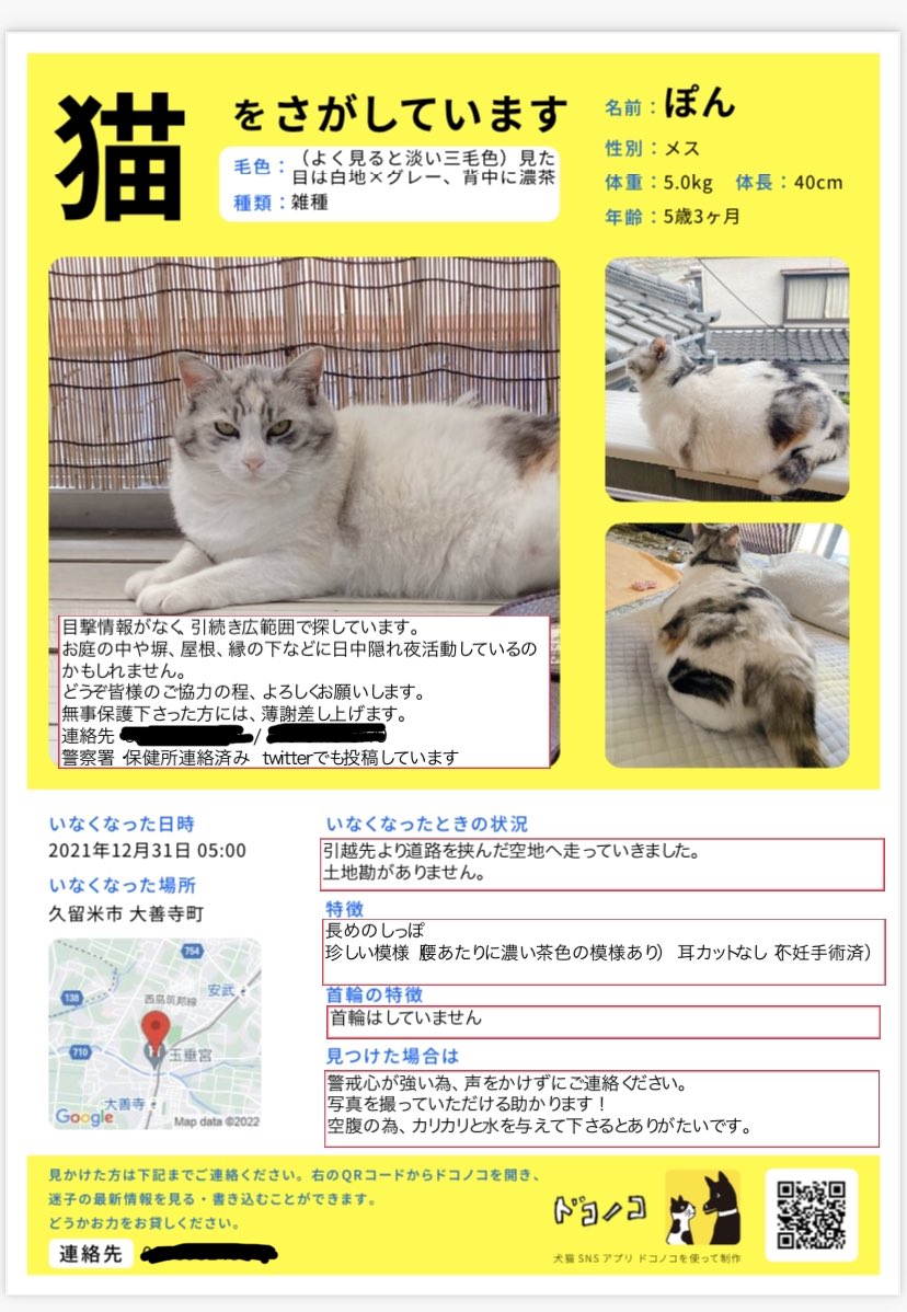 PixiYoko's tweet photo. #ぽん はこの範囲のどこかにいると考えてます。
#福岡県久留米市 #大善寺町宮本 を中心にこの範囲内にお住まいの方や情報をお持ちの方がおられましたらご連絡下さい🙏皆様のご協力を宜しくお願いします。  #迷子猫 #迷い猫 #保護 #餌やり #TNR #探してます #拡散希望 #津福 #荒木 #安武 #三潴 #諏訪野 https://t.co/Xb7yfraBQ0