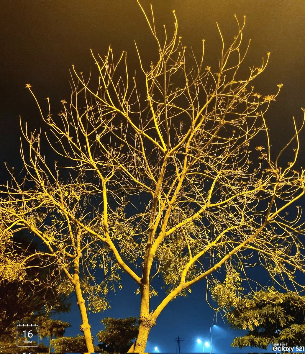 Gitansh5's tweet photo. #LateNight 🌑
#longtalk ✨️
#hotcoffee ☕️
#letswalk ❤️🚶♂️ https://t.co/Yw8Wu61Eq0