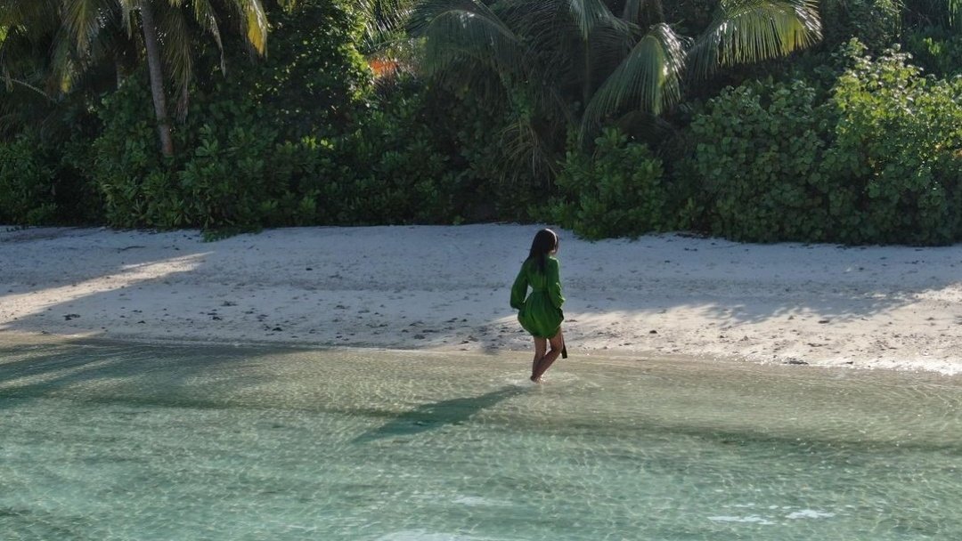 Isla tweet media