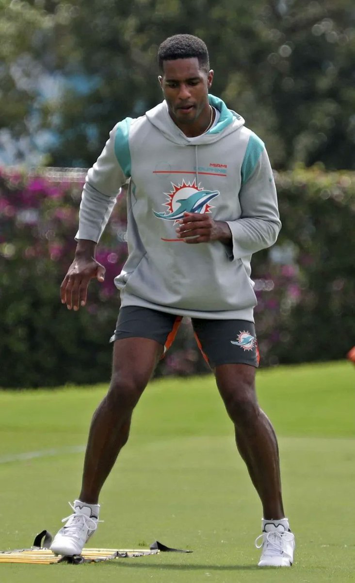 World Traveller, Miami Dolphins Fan Since 1978 on Twitter "RT Dolphin