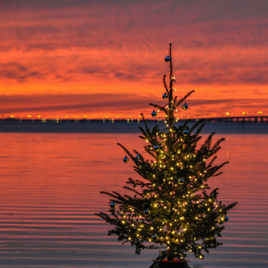 54 Realty tweet media