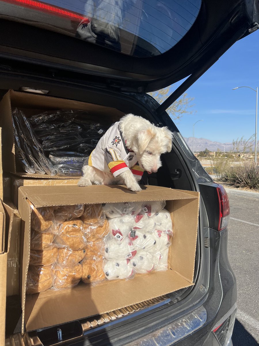 BarkAndreFurry's tweet photo. With your support Deke and I delivered 144 pairs of socks, 48 sets of coloring books &amp; crayons, and 96 stuffies &amp; bobbleheads to our friend @Successful_one and @H2H_YBIB! 
Items will be distributed to children in need this holiday season.
~ Bark🐾 
#PawYouNeedIsLove https://t.co/KQAY19JMDx