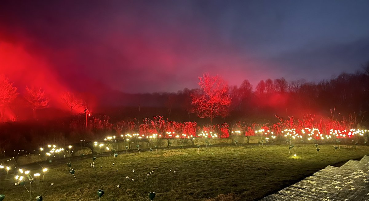 Dazzling nights at the Pittsburgh Botanic Garden ✨✨ #PittsburghBotanicGarden @JohnSembrat @PACCM_fellows @PACCM #ThisIsPACCM