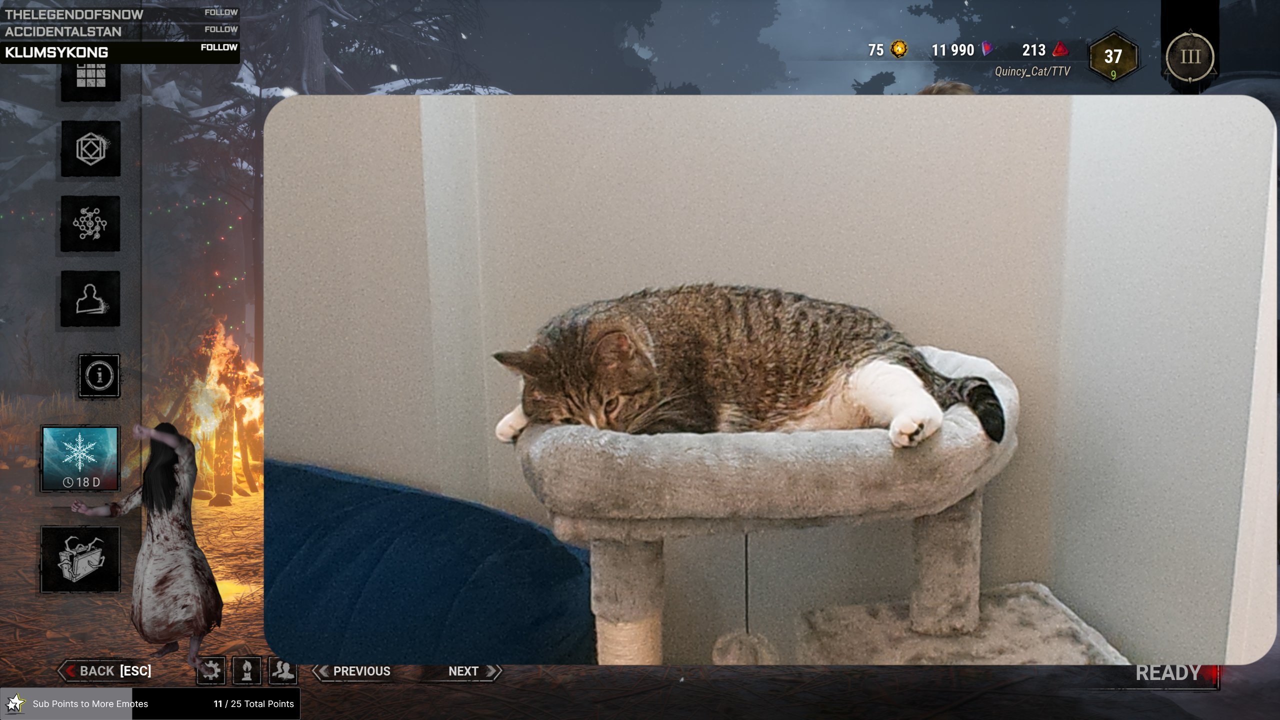 Quincy_Cat (quincy_cat_ttv) / Twitter