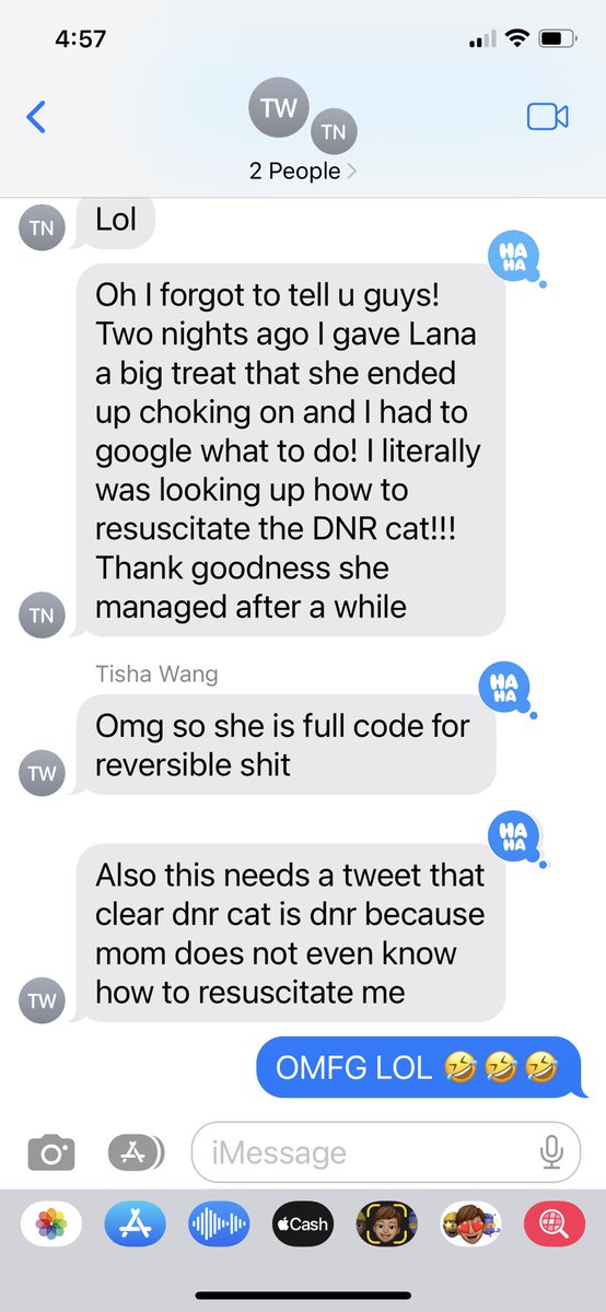 realDNRcat's tweet photo. For a moment I thought I was no longer the DNR cat. Then I realized that will never be the case. My mother, the intensivist, does not even know how to resuscitate me. Which probably means that Simba is also DNR.

I will be less Simba-like when I consume treats in the future. https://t.co/4agAaKjuKy