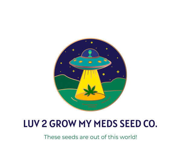luv2gmmseeds.com/dank-cannabis-…

Beam Me Up Photo regs 6 seeds +

Huzzah = 9# Hammer x Tropic Lightning  X 96' NYC Sour D X MAC Photo regs  6 seeds +

$35.00

luv2gmmseeds.com/dank-cannabis-…