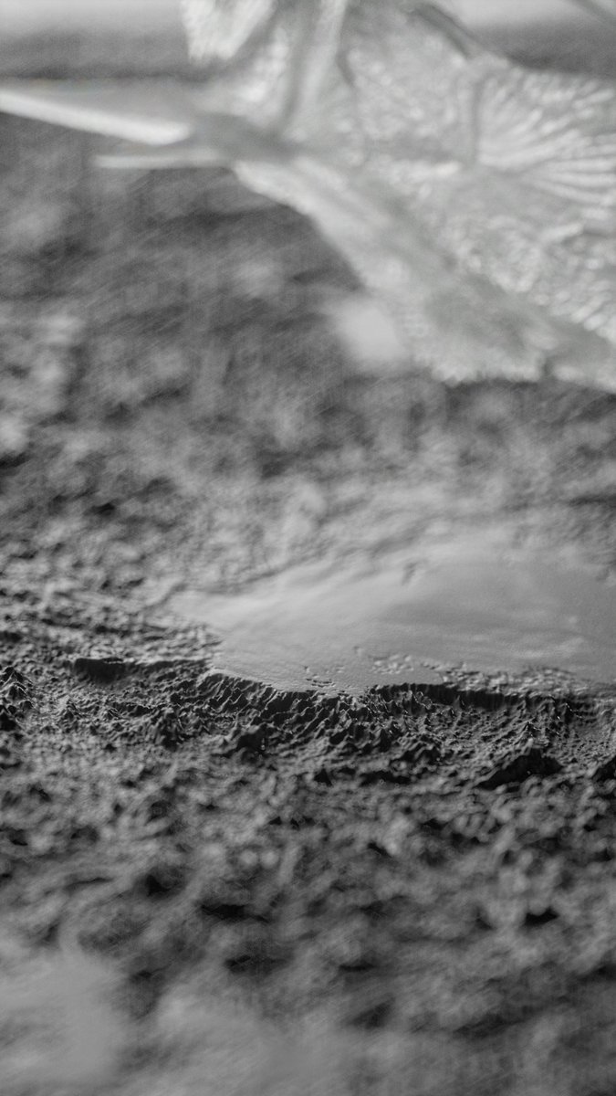 Bellator Militaris🐟💀_02

Practicing lighting + composition - thanks to <a href="/Fishguy_FHL/">Adam P. Summers</a>
 for the awesome models.