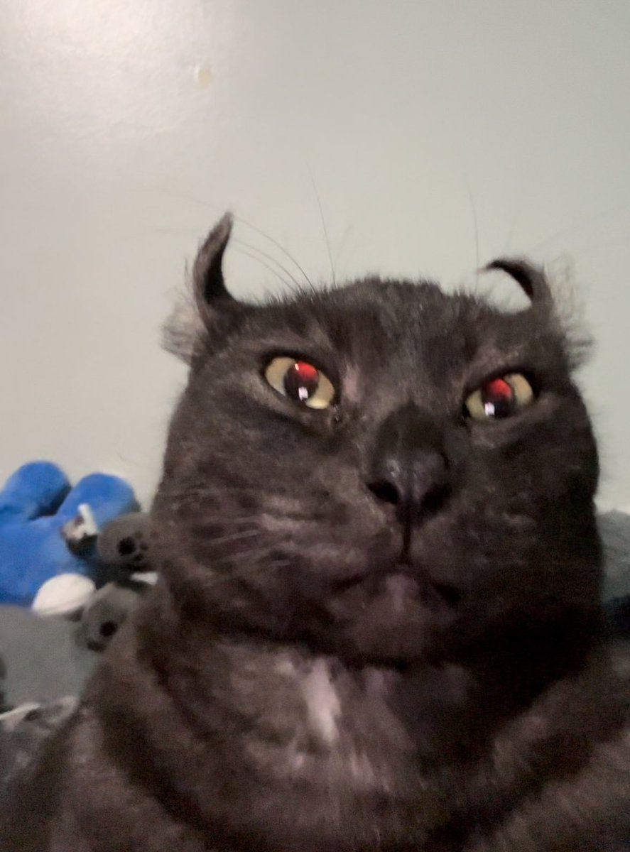 dumb moder🏳️‍⚧️ on Twitter "RT Meevin10 the red glare in his eyes