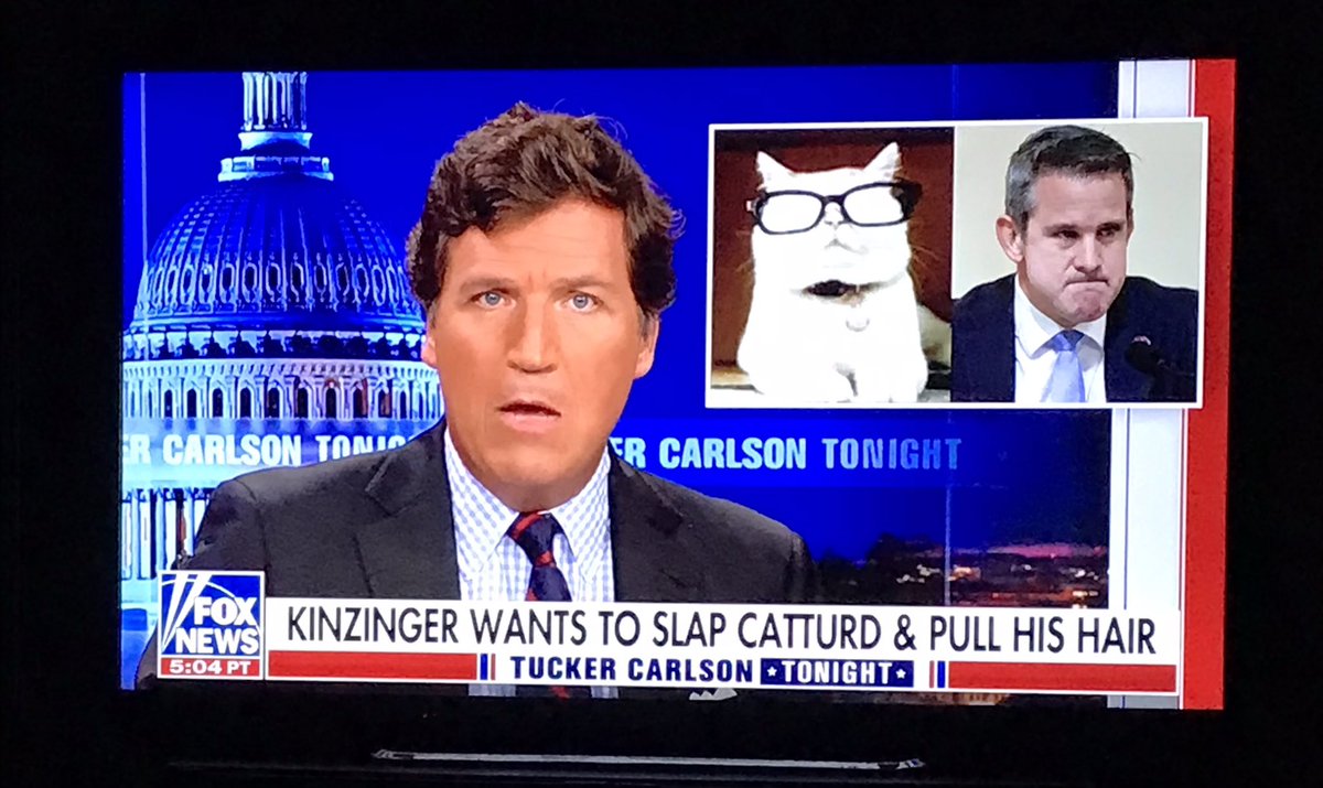 Daphne On Twitter It Will Not End Well For You Catturd Adam 