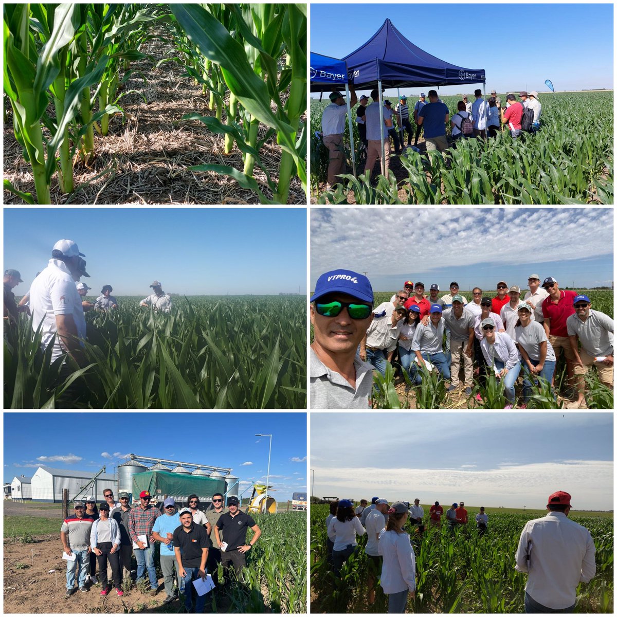 LetiBorghi tweet media