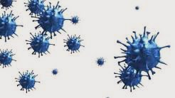 "インフルエンザの予防策として、日常からビタミンＣ、マグネシウム、亜鉛の日常的な摂取を強く勧める。いたってシンプルな理由で、体が持っている免疫力を向上させるため" - Jonathan V. Wright