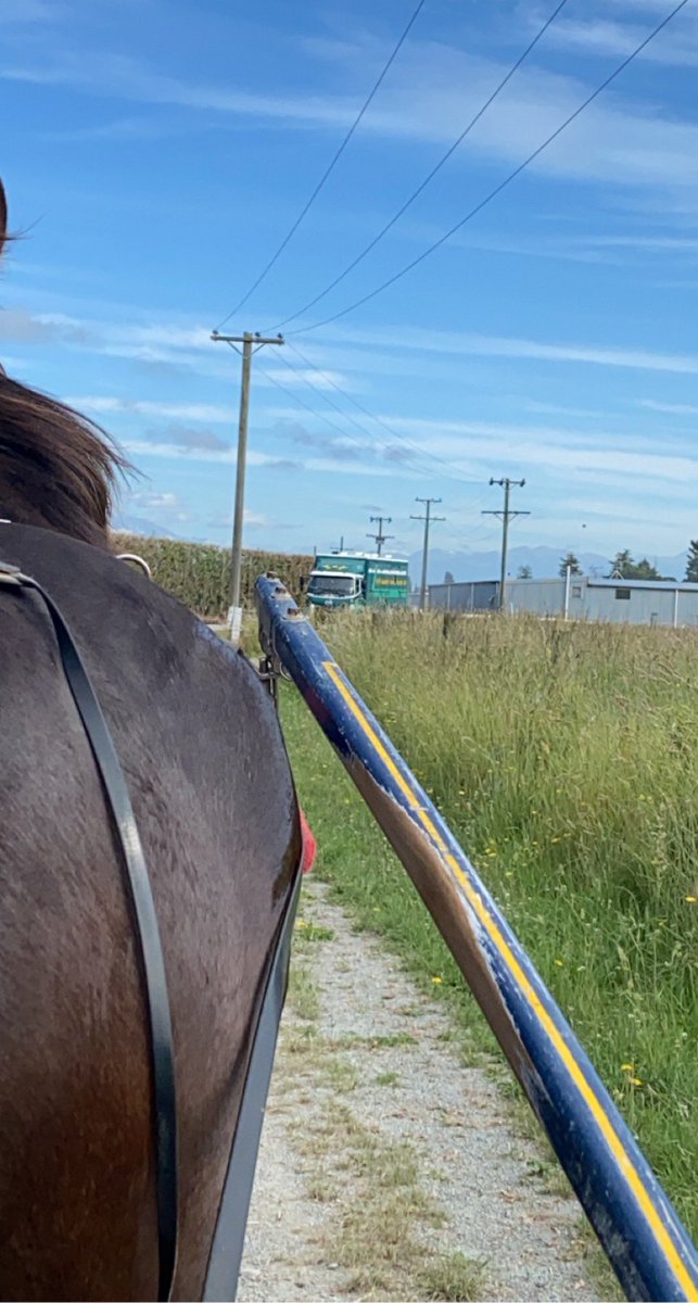 Whiteotj92's tweet photo. @GarrickRKnight Bye bye Cranbourne, you did us proud and we hope you have a great future. Took us to the top races in the country. https://t.co/czmO0DlJba