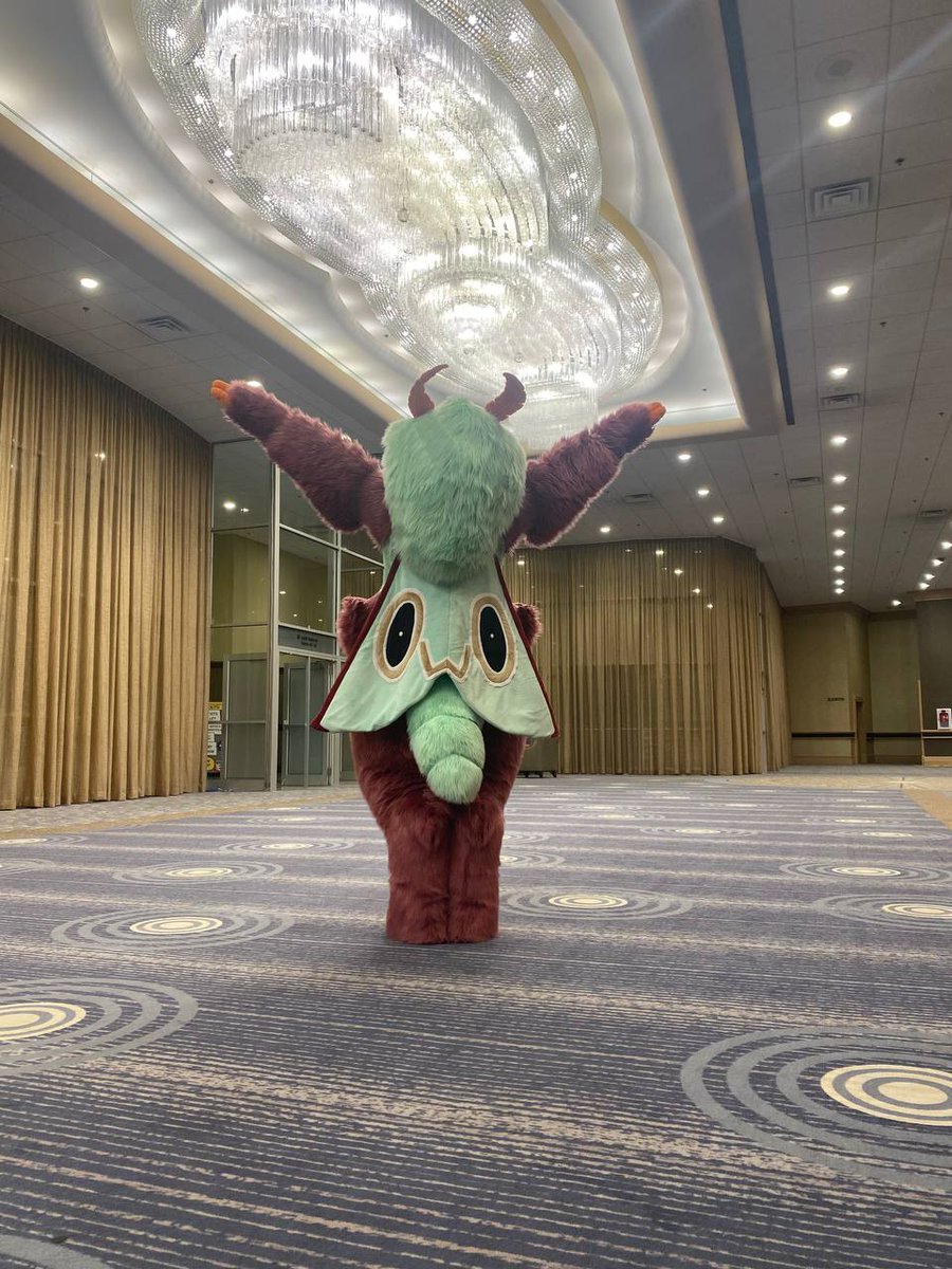 LET'S TRY THIS AGAIN

Praise the light!

📸: @AcaiDaBonk
#FursuitFriday 
#MFF2022 
#FurFest