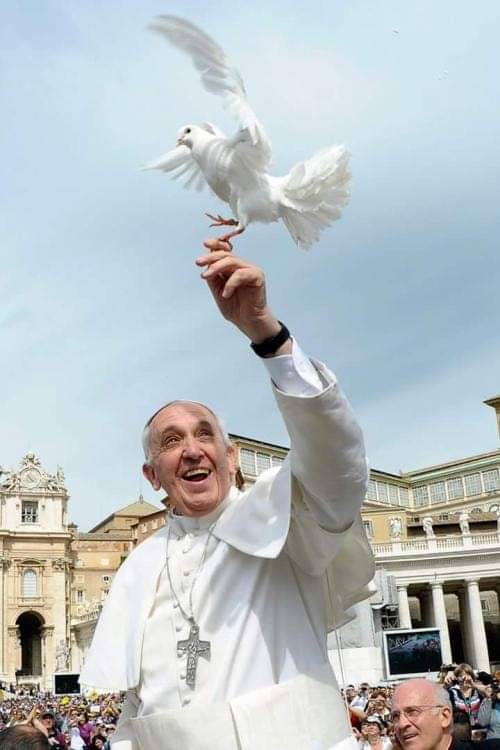 Happy birthday Pope Francis!  