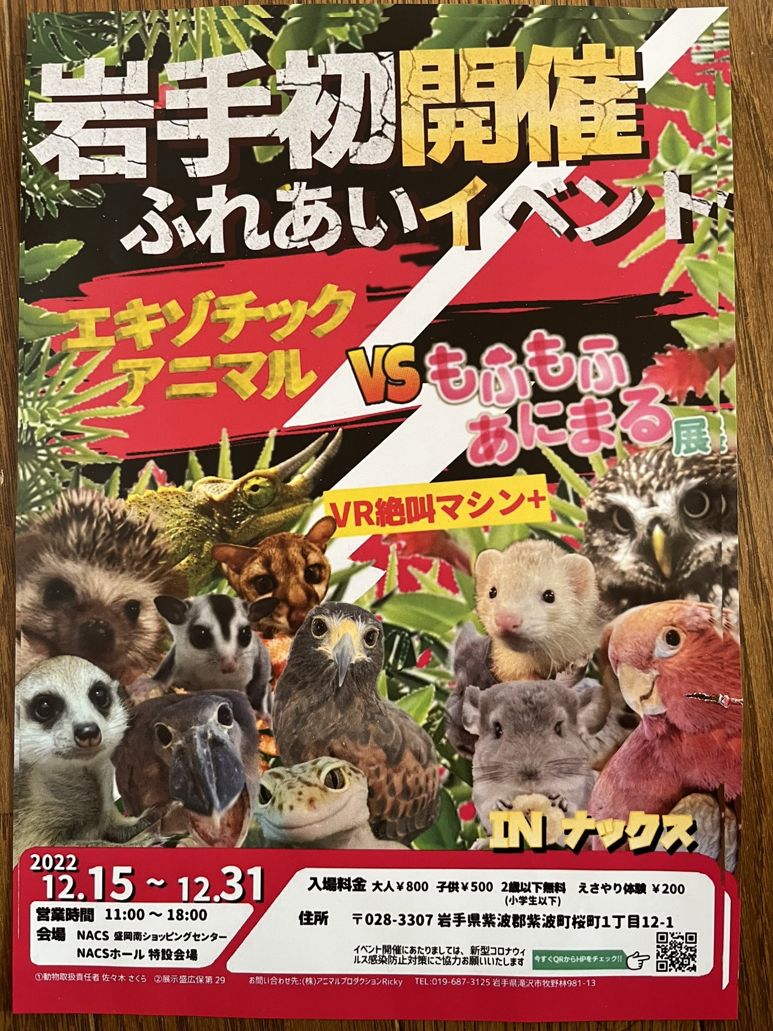 こぎ Cogi Otoge Twitter