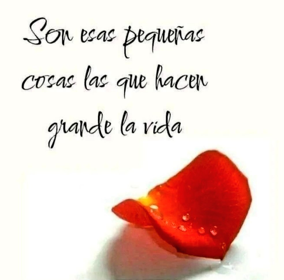 Yubisol's tweet photo. 🌟Se corrige en privado y se felicita en público.¡Eso se llama educación! #ALaReflexiva 
#crecimientopersonal
#educación https://t.co/GjoEcmG3wQ