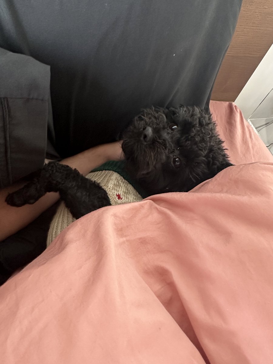 Colton (@coltonpappas) on Twitter photo 