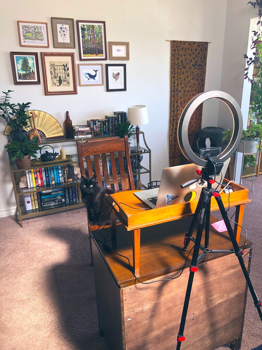 My #Match2023 virtual interview setup as approved by my cat 🐈‍⬛ <a href="/futureradres/">Future Radiology Residents</a>