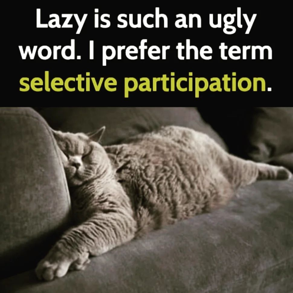 MKKCollections's tweet photo. Today was just one of those days... chilly weather, sinus cold, cuddly dogs, and the desire to do nothing. GLORIOUS!
#mkkcollections #lazyday #muchadoaboutnothing #pajamaday #junkfoodjunkie  #naptime😴 #chillvibes #workfromhomelife #dayoffwork #select… https://t.co/N6jJUeFstQ https://t.co/uFOibi2ruP
