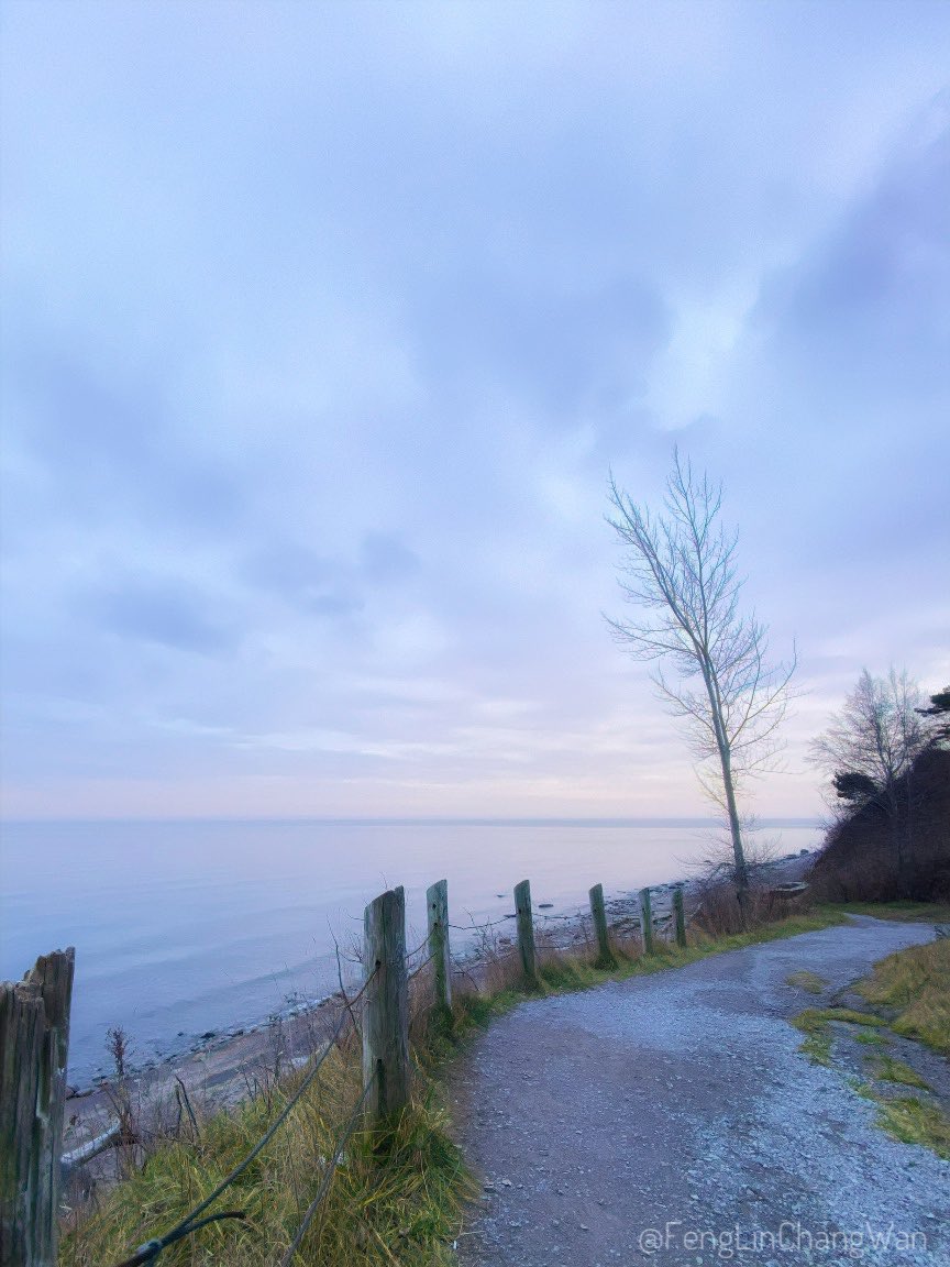 fenglinchangwan's tweet photo. Afternoon walk a few days ago…

#iPhonePhtography #LakeOntario https://t.co/62fCnOc3sF