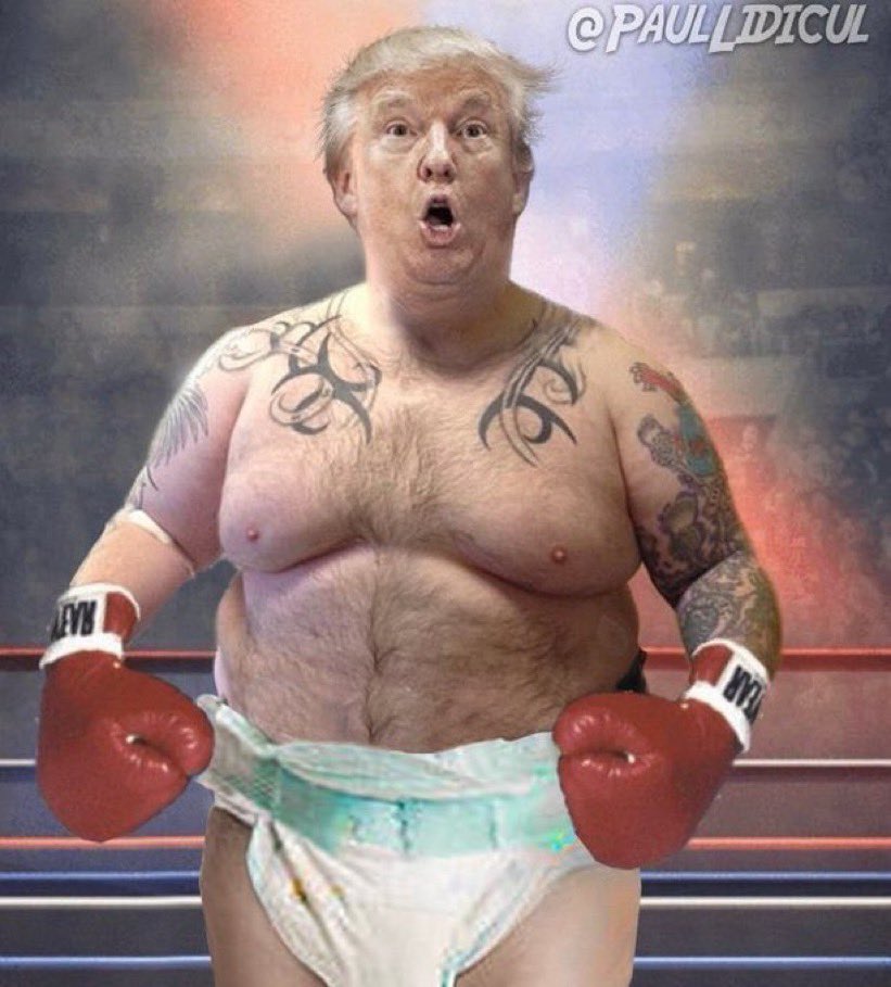 LePapillonBlu2's tweet image. #TrumpTraitorCards 😂🤣😭