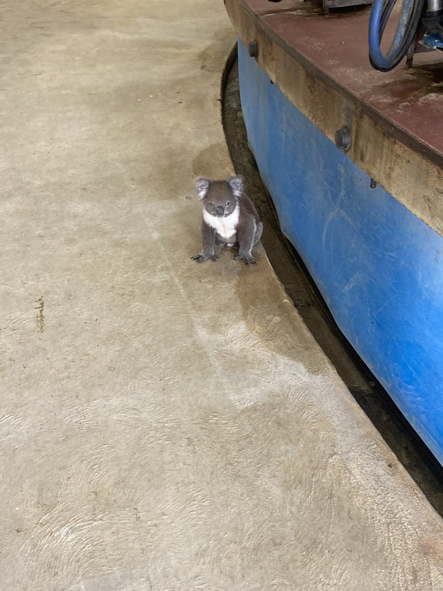 Phil White tweet media