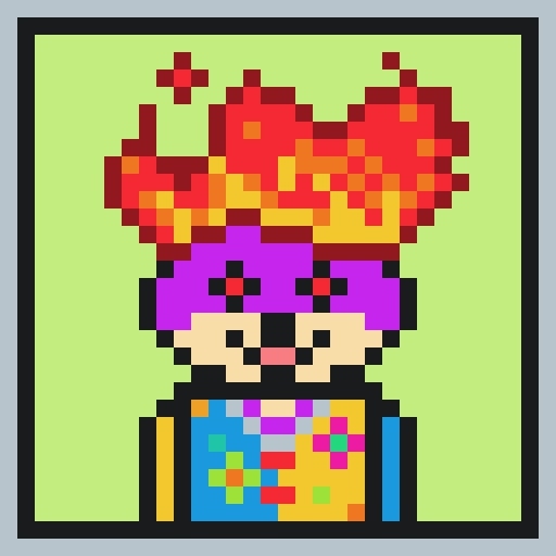 🐶 tebby collections tweet media