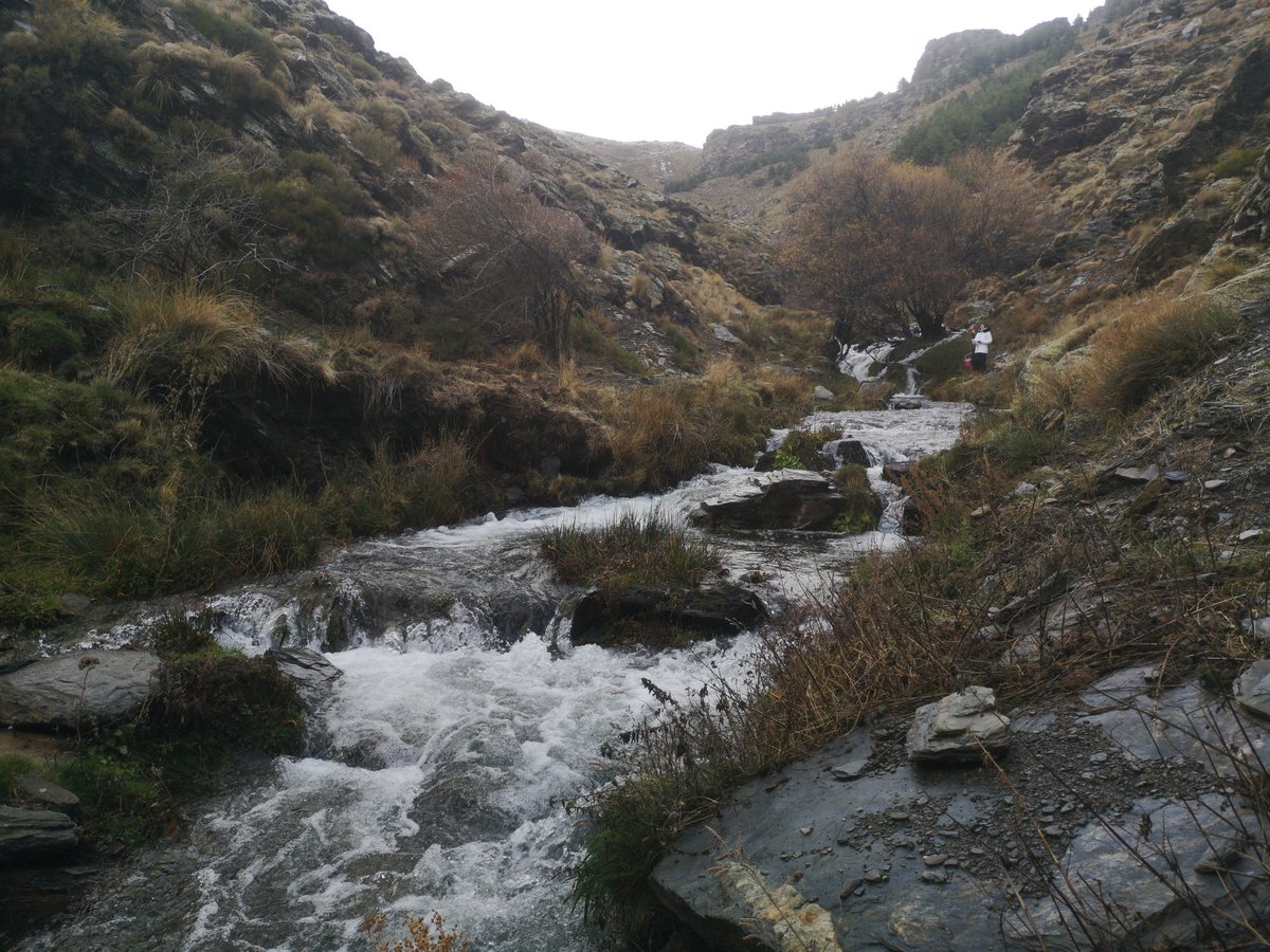 RubioRiosJ's tweet photo. Hard, but gratifying, day measuring flows of Sierra Nevada streams upstream and downstream of irrigation canals. https://t.co/qcktyXJeE5