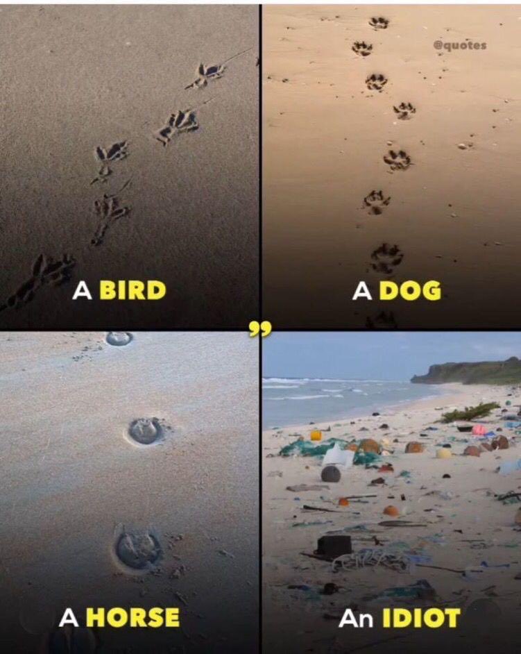 niraj_shah's tweet photo. So, so true https://t.co/webKxyPjz6