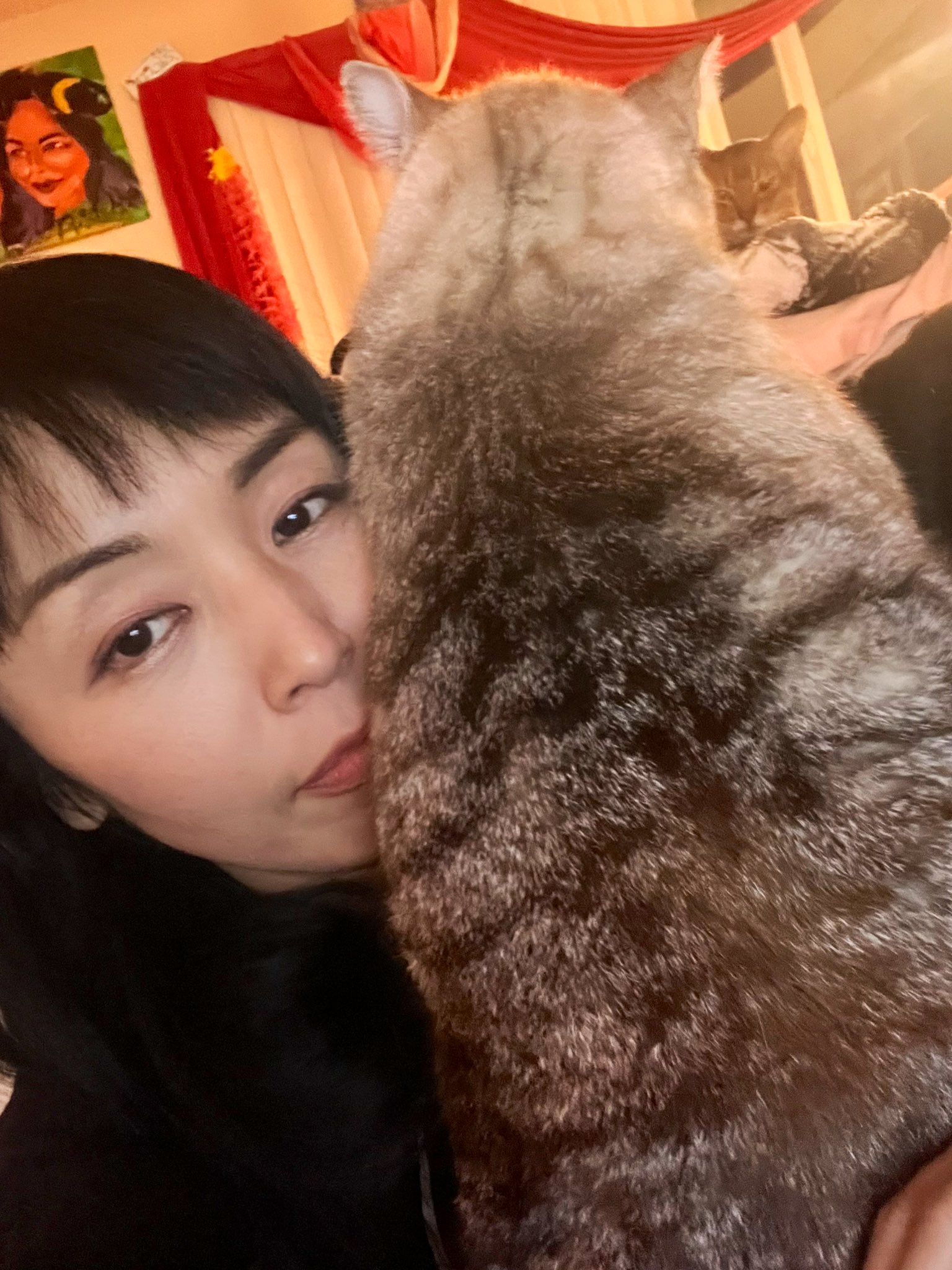 Marica Hase/まりか on Twitter "後ろにてん https //t.co/Egfg8hxXWR" / Twitter