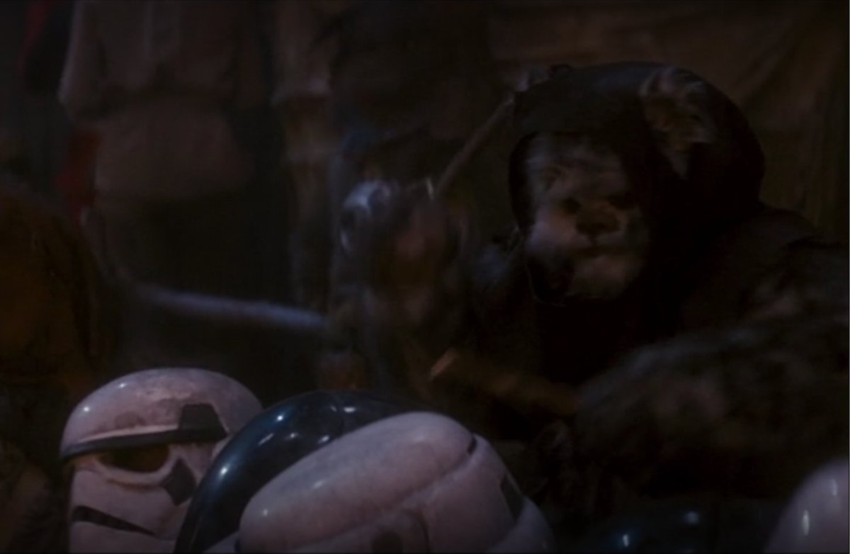 LinusCampbell's tweet photo. The Ewoks probably ate the owners of these helmets. https://t.co/K1T68ChmVp