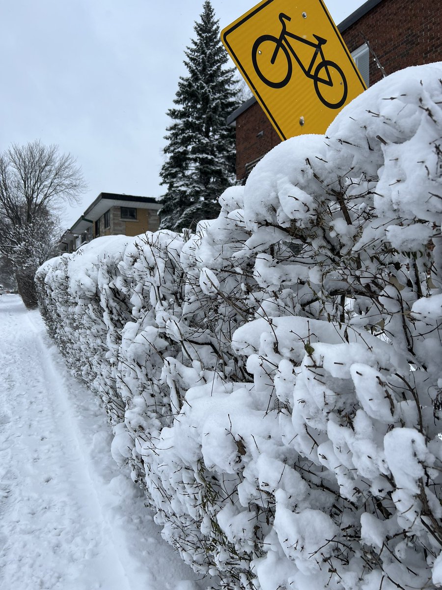 itsalexanter's tweet photo. A cuantos de ustedes les gusta la nieve ? https://t.co/aspaAPfFyO