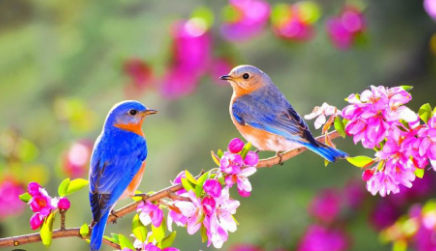 fbioconcao121's tweet photo. Birds have pairs, and so do humans https://t.co/msRpuPpZte