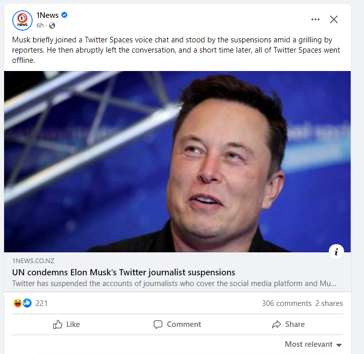 news article from NewZealand <a href="/elonmusk/">Elon Musk</a>